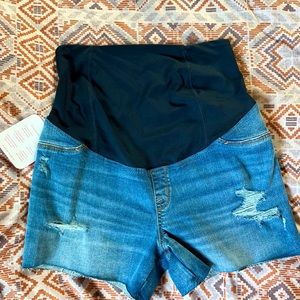 NWT Isabel Maternity Shorts